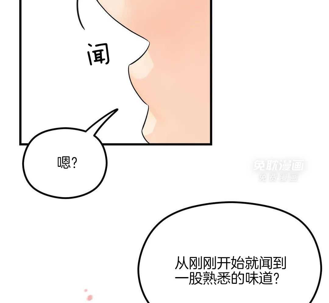 精灵伴侣第9话图