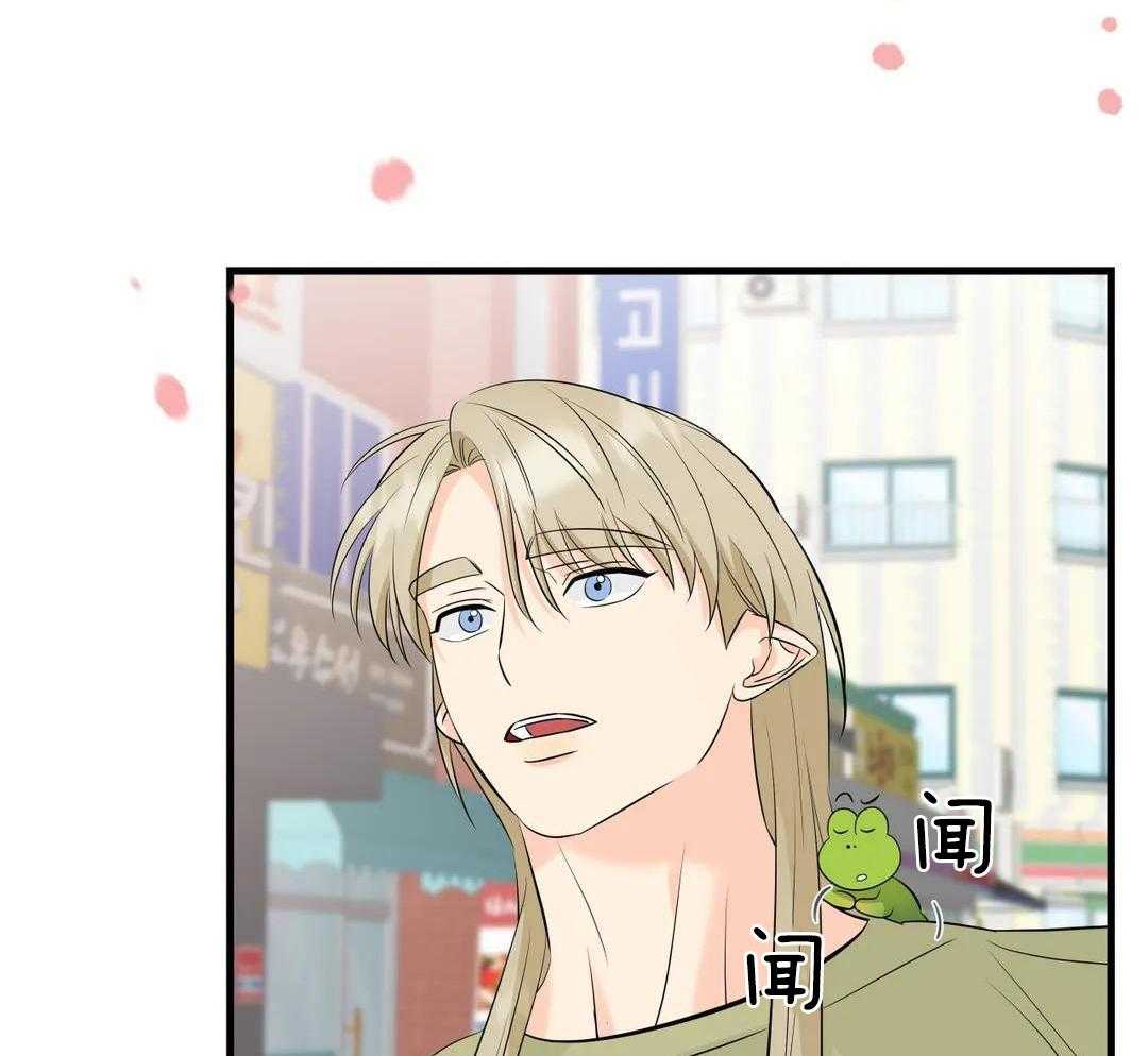 精灵伴侣第9话图