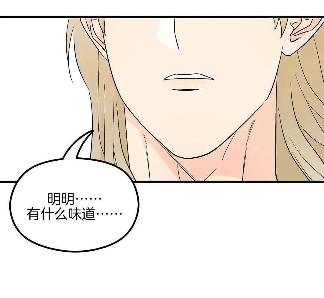 精灵伴侣第9话图