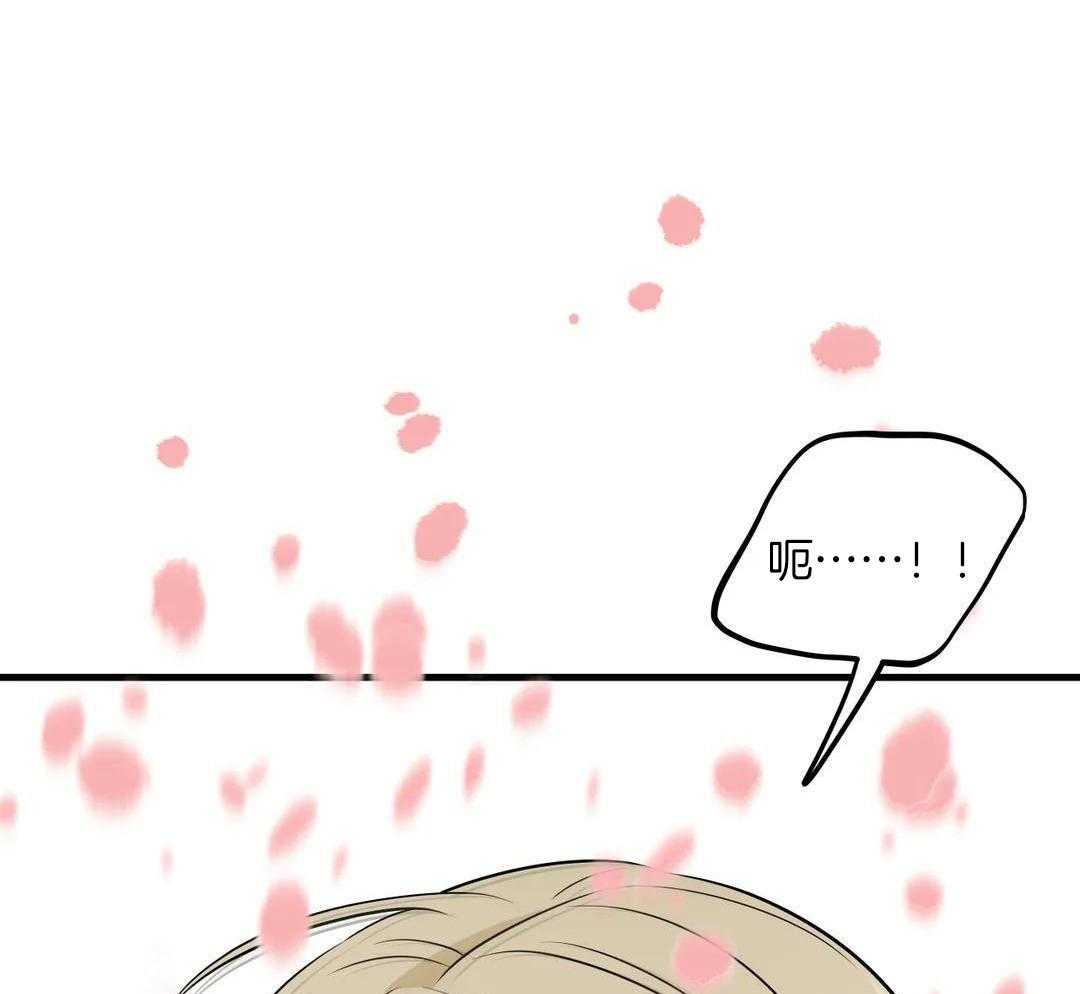 精灵伴侣第9话图