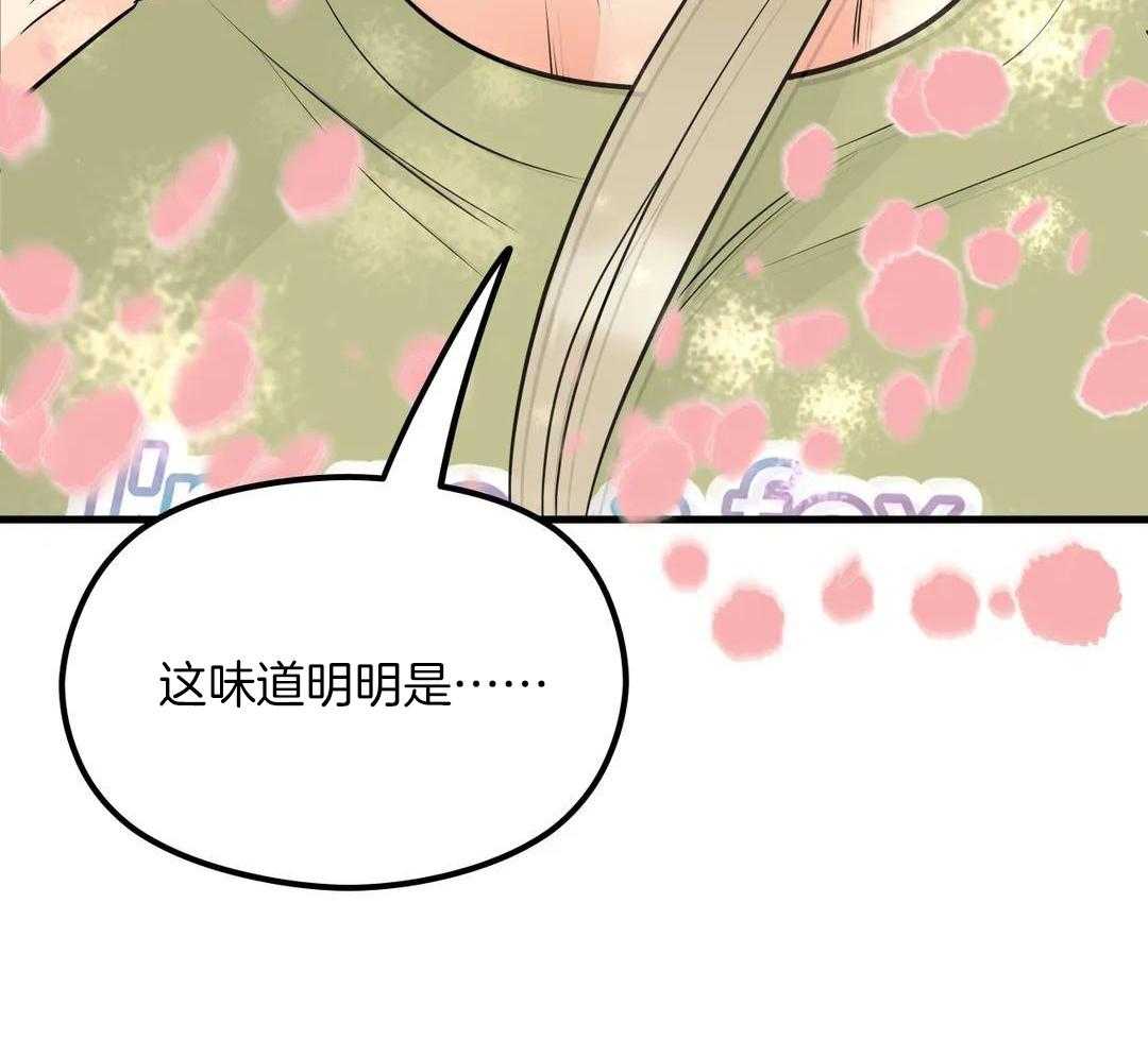 精灵伴侣第9话图