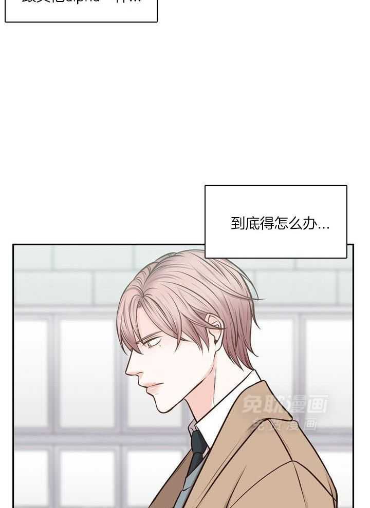 教授的信息素第29话图