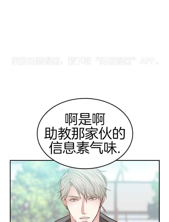 教授的信息素第52话图