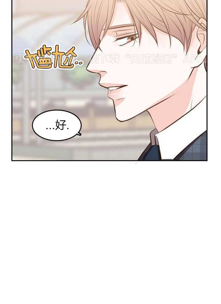 教授的信息素第52话图