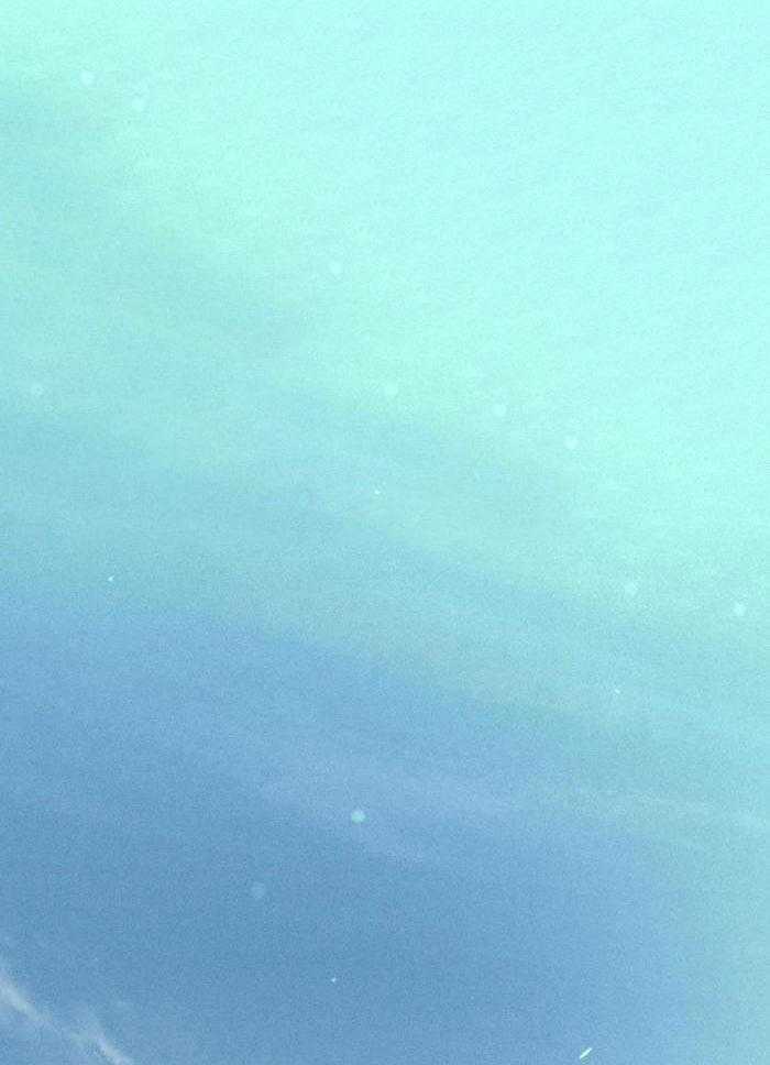 解药（共3季）第44话图