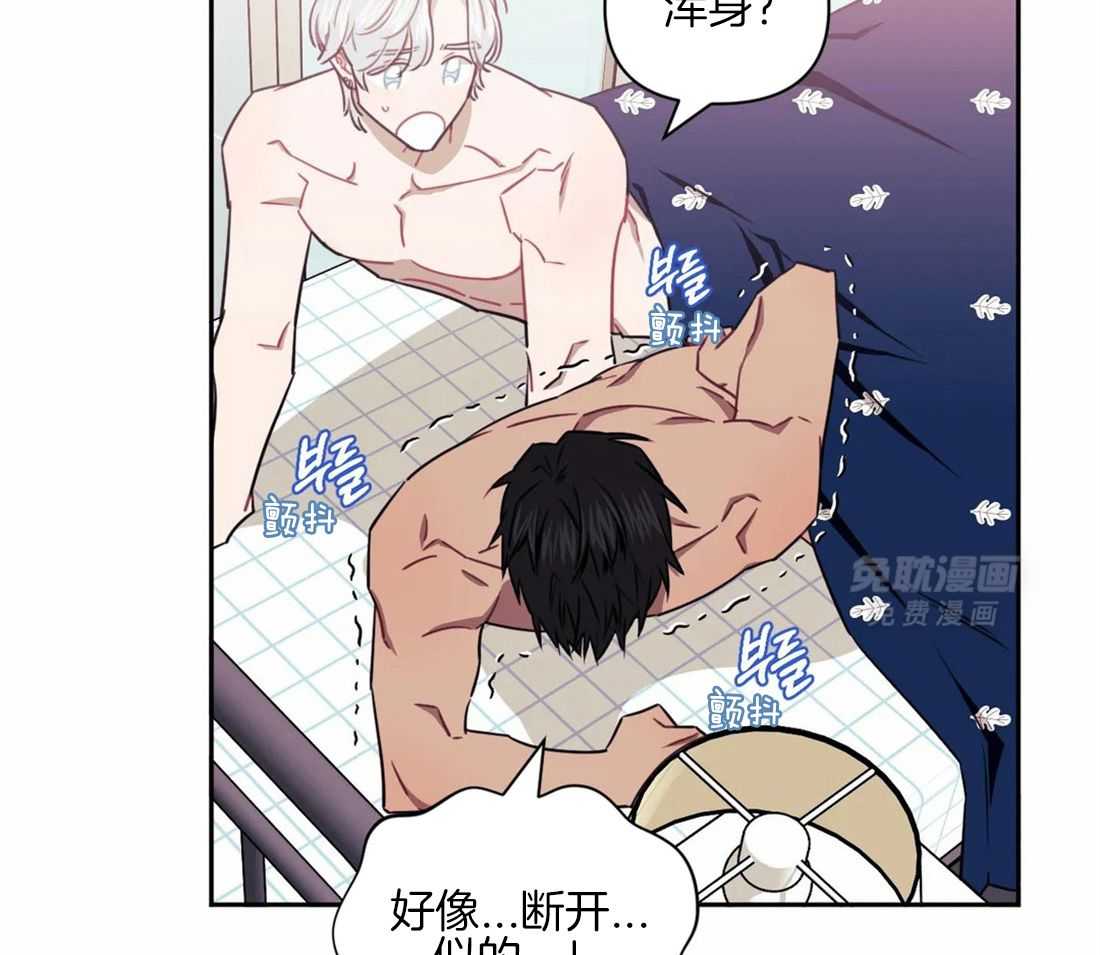 假定关系第58话图