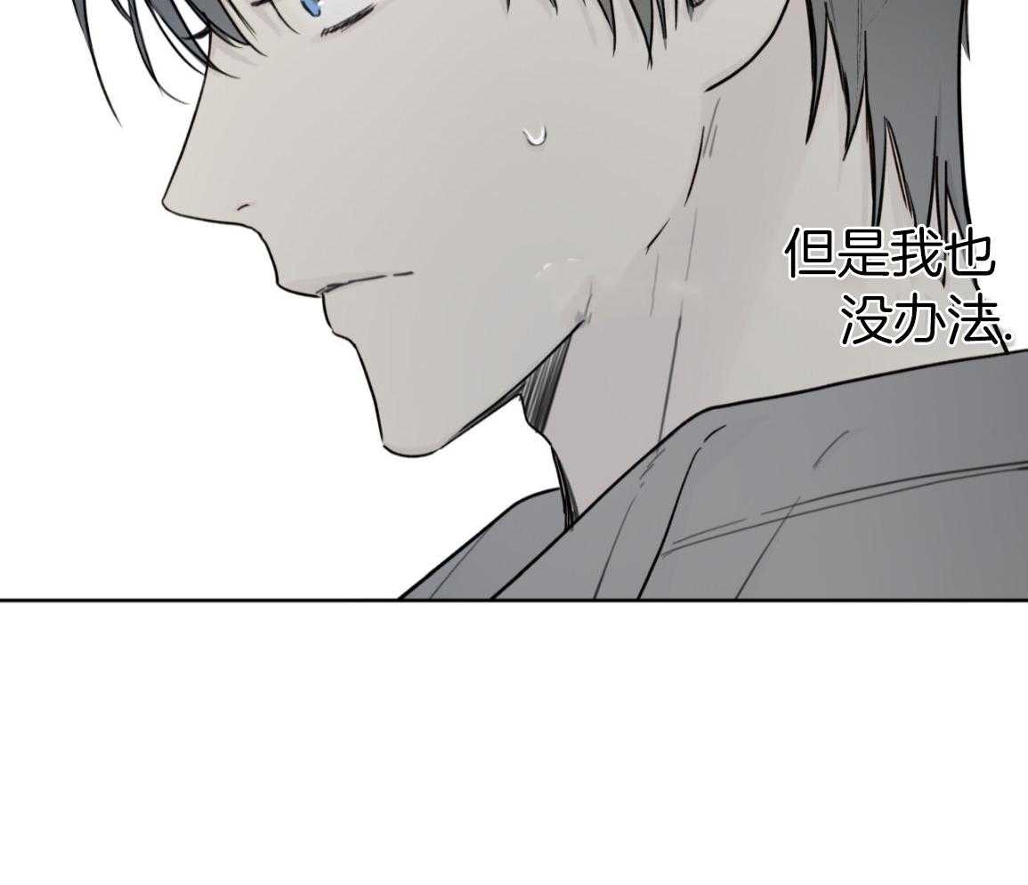 绝对匹配第4话图