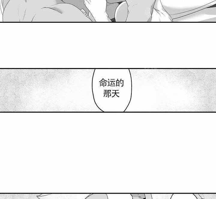 巨人族的新娘第12话图