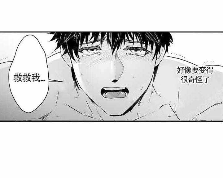 巨人族的新娘第14话图