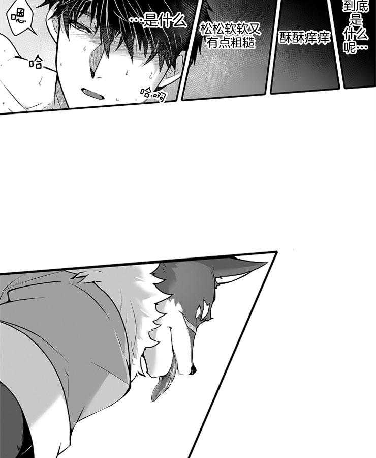 巨人族的新娘第20话图