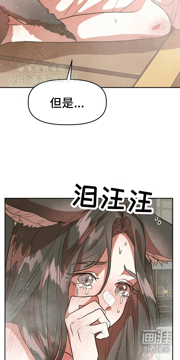 九尾狐新娘第11话图