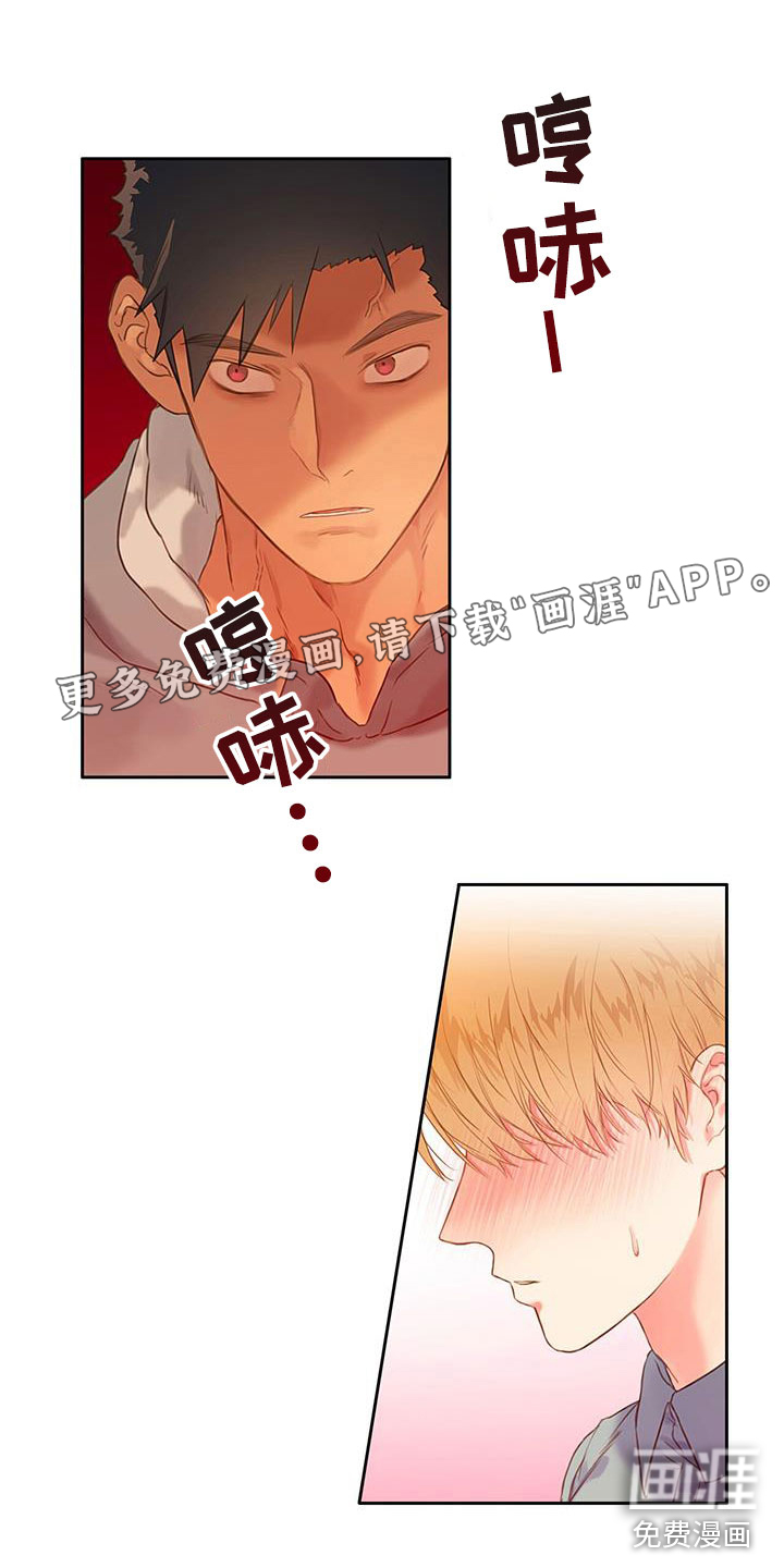 警官别跑第18话图