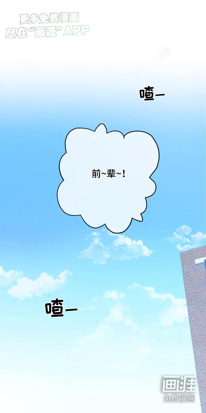 警官别跑第44话图