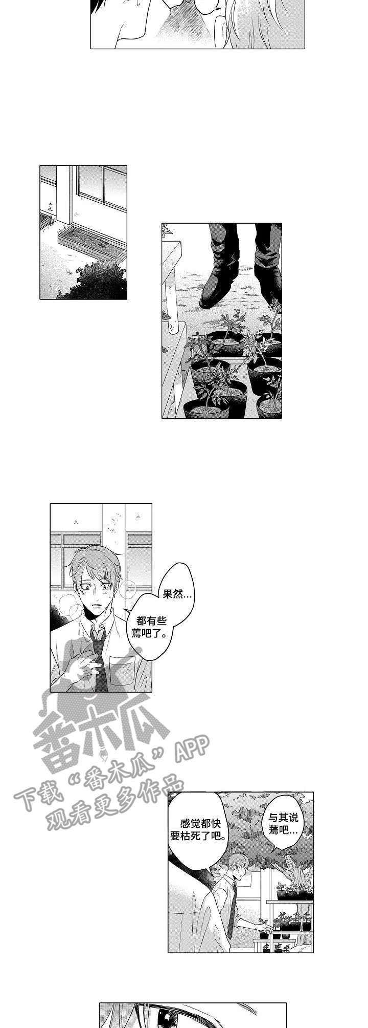 交错的菜园第2话图