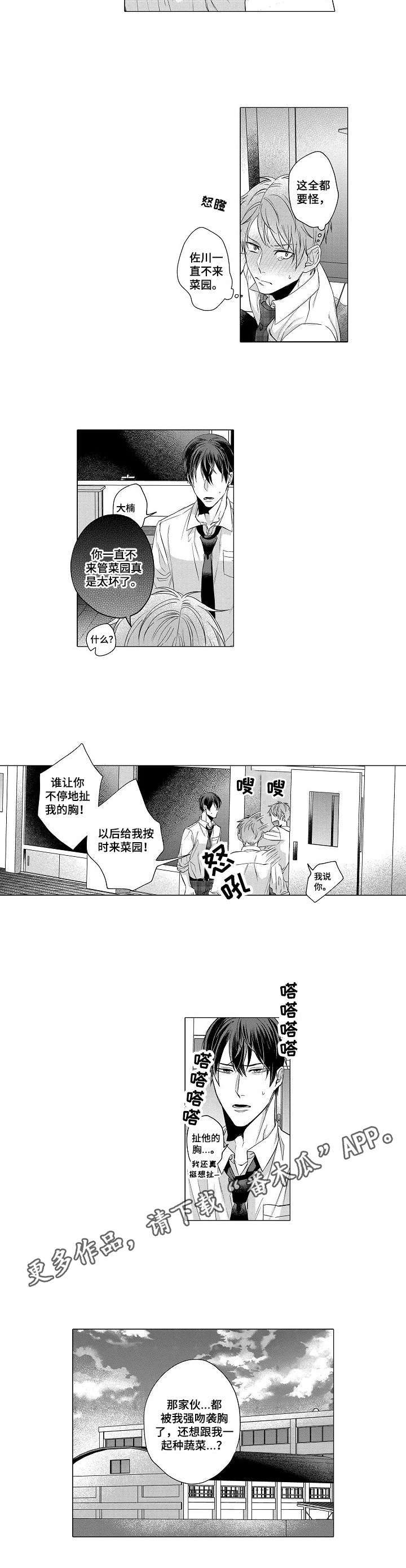 交错的菜园第8话图