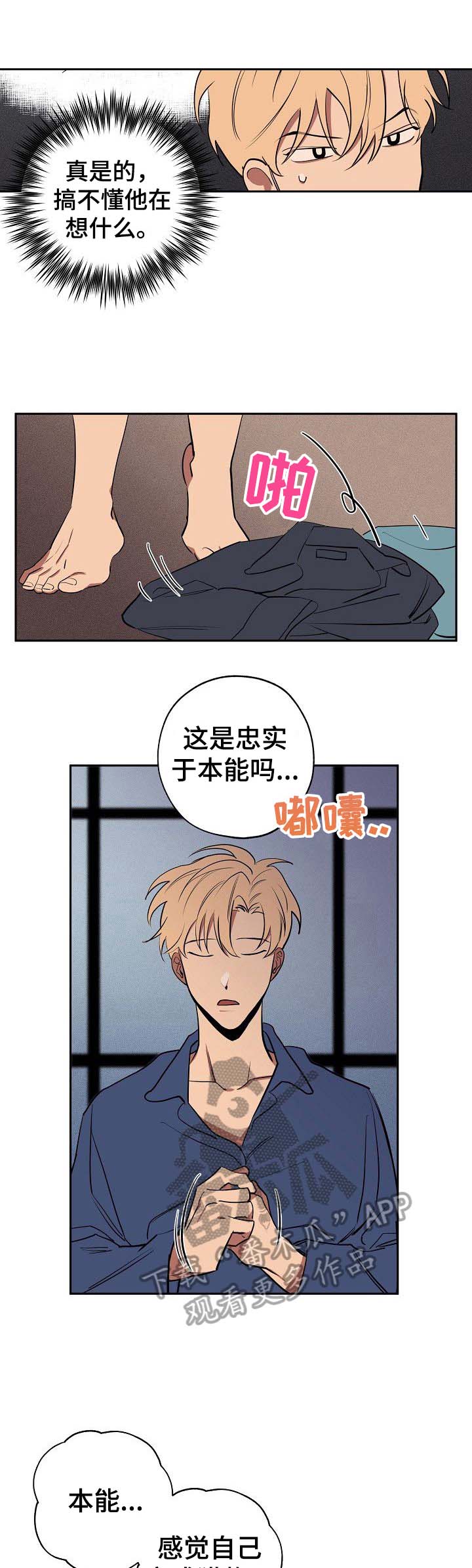 记忆轨迹第35话图