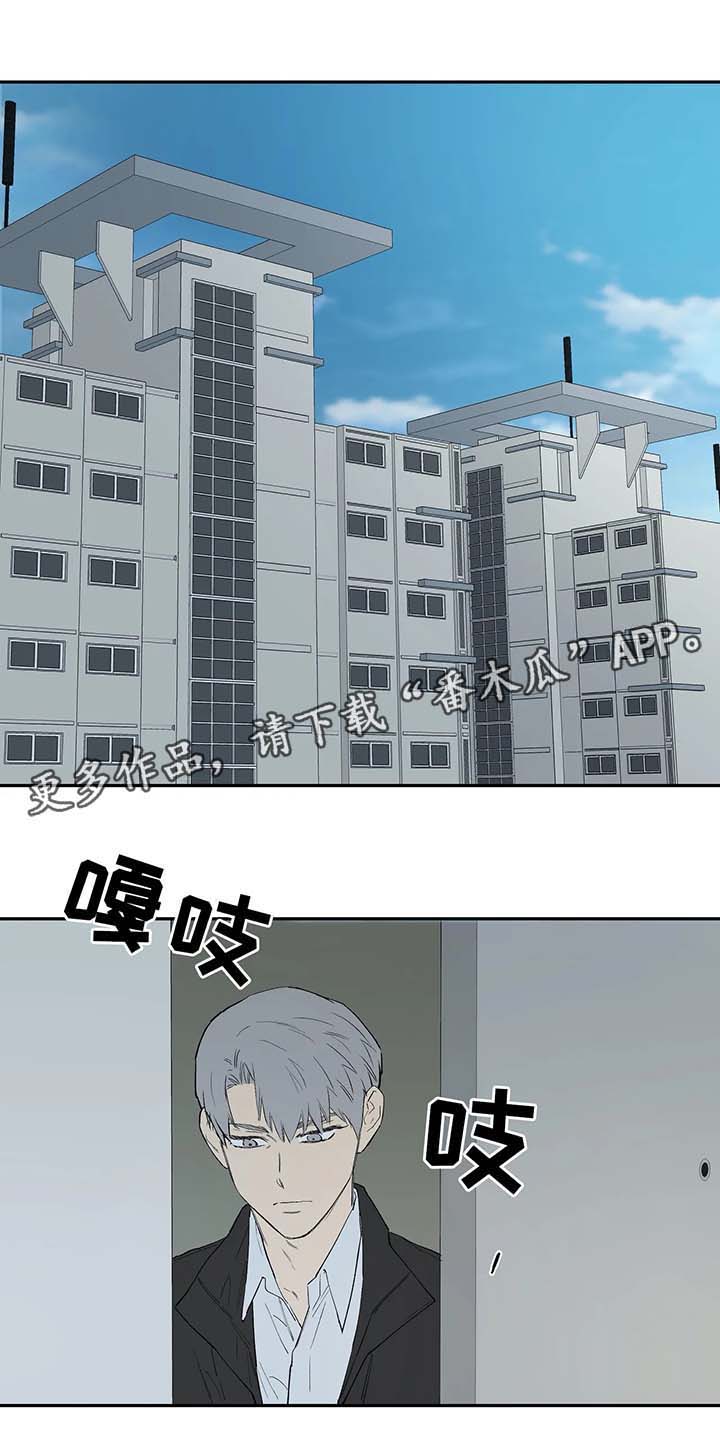 皆是爱第35话图