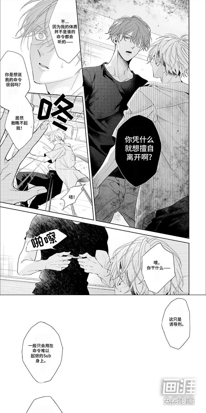 尽在掌握第11话图