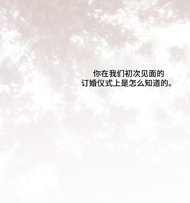 记忆的尽头第37话图