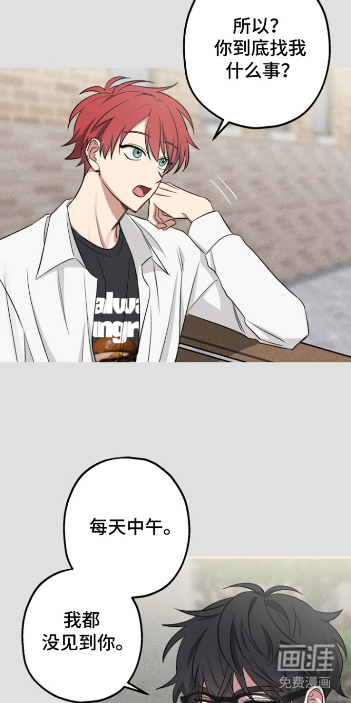 金主计划第10话图