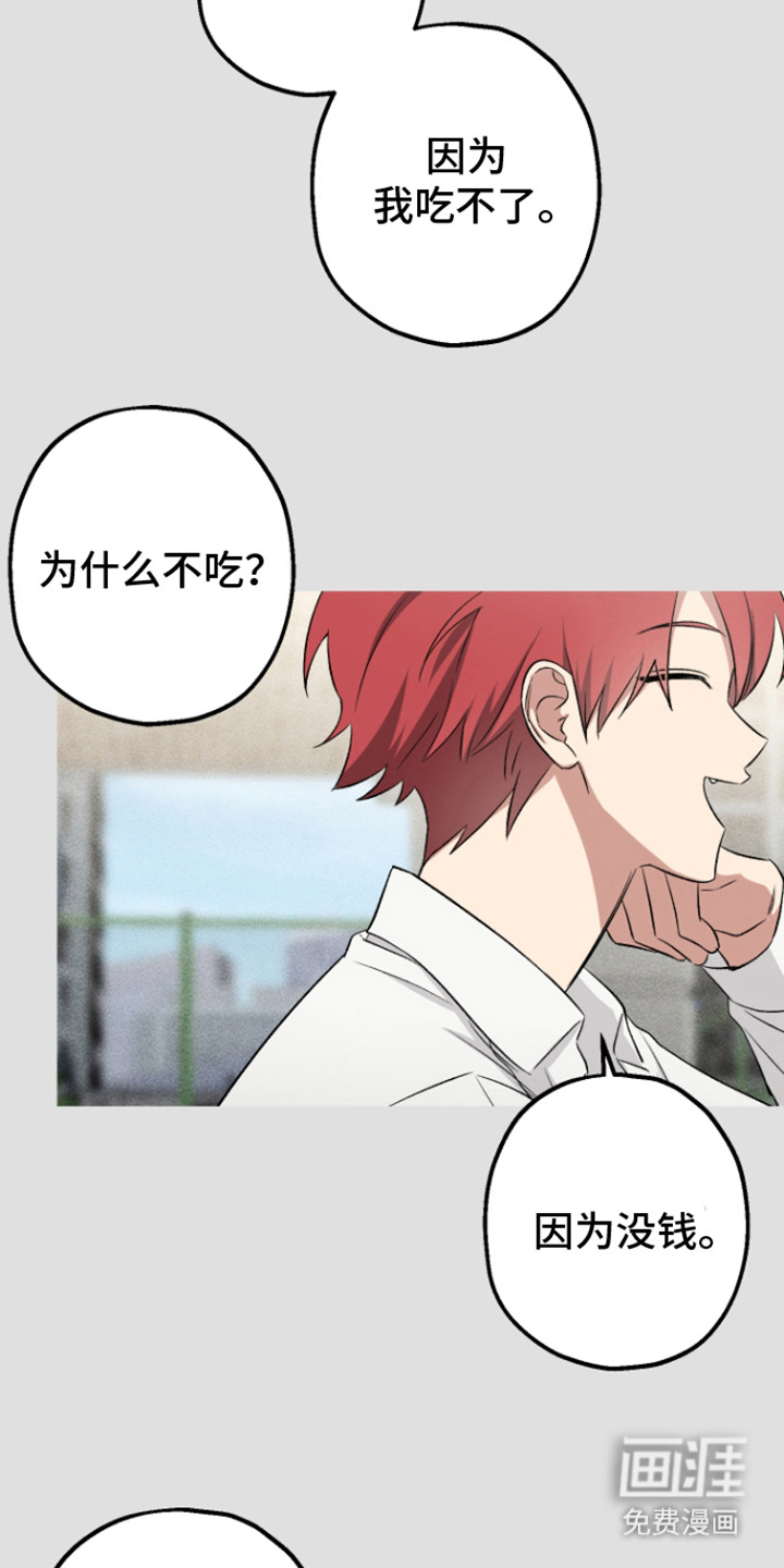 金主计划第10话图