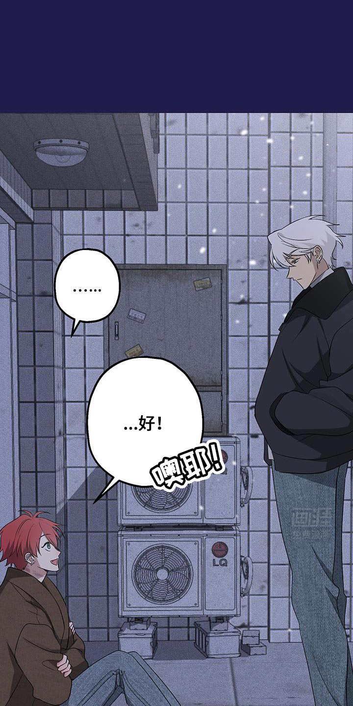 金主计划第15话图