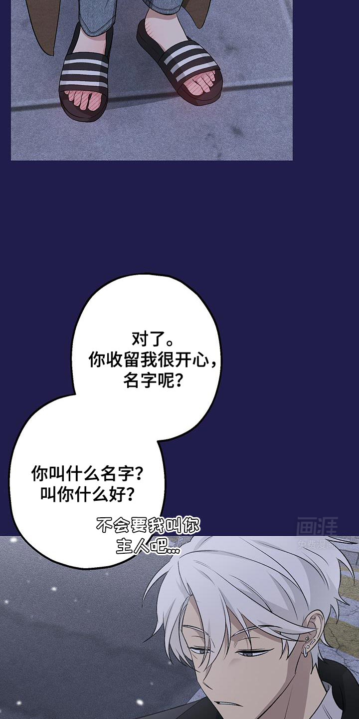 金主计划第15话图