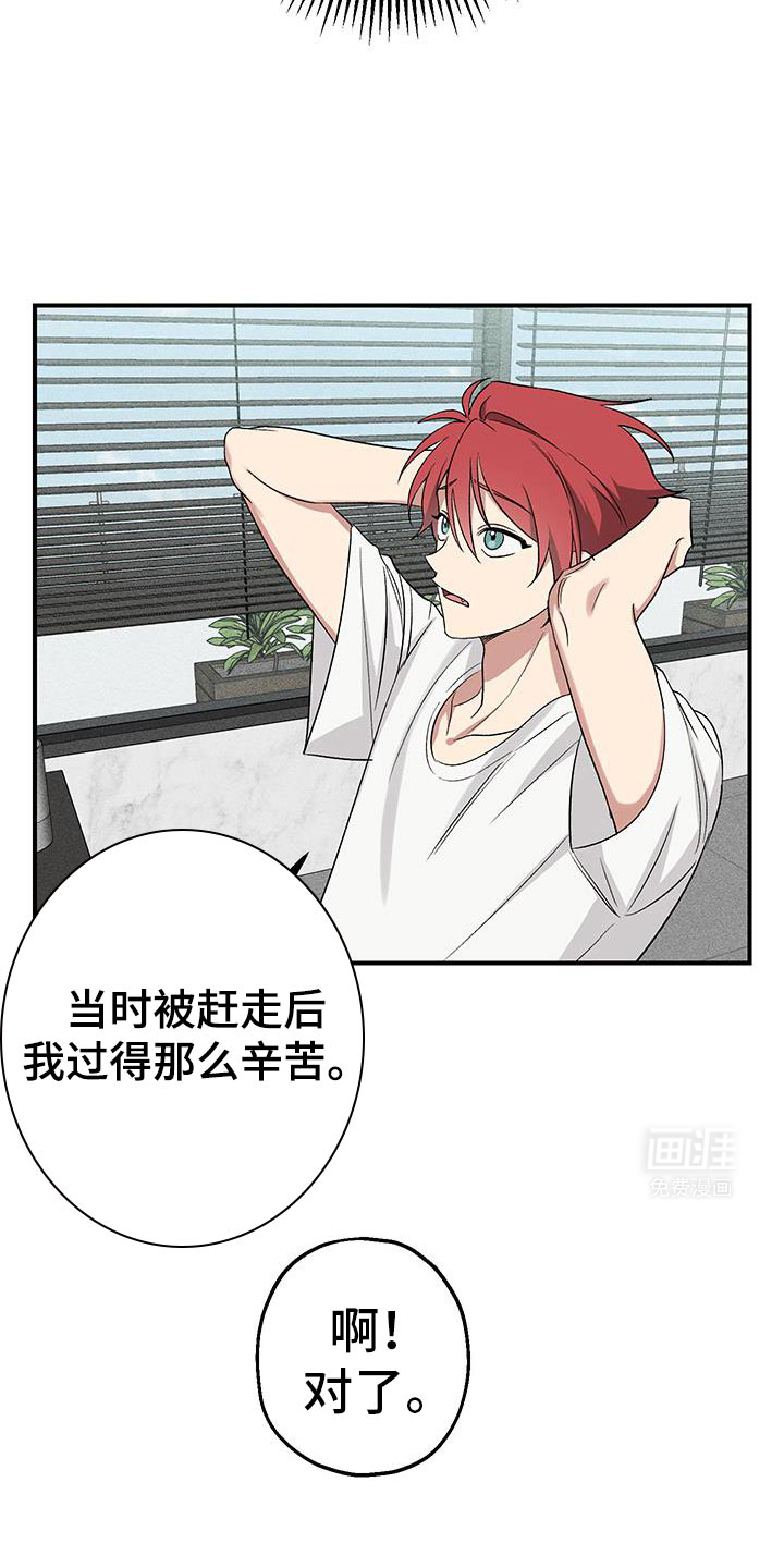 金主计划第18话图