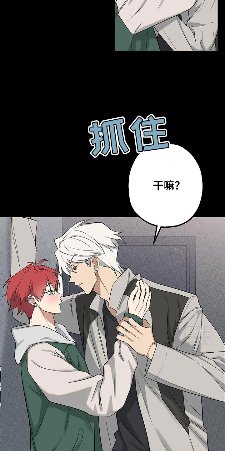 金主计划第23话图