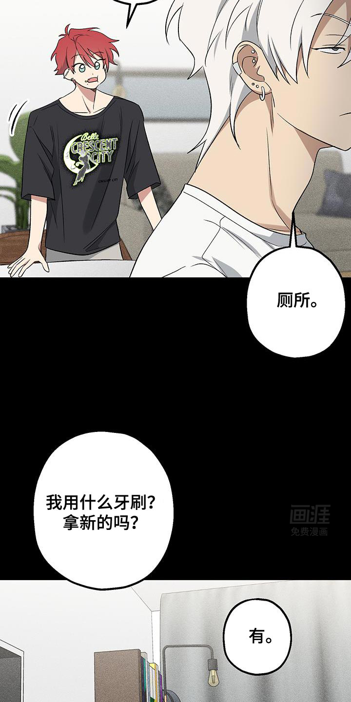 金主计划第24话图