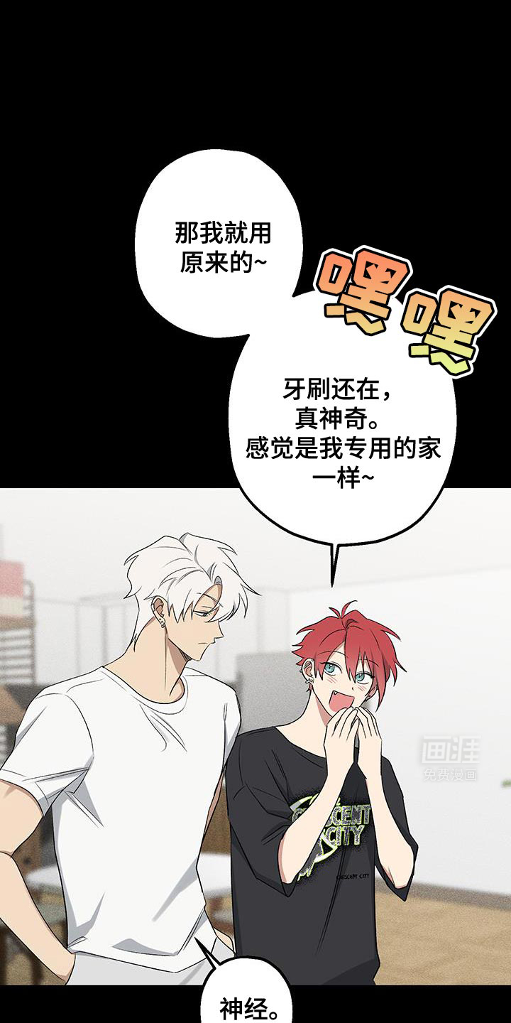 金主计划第24话图