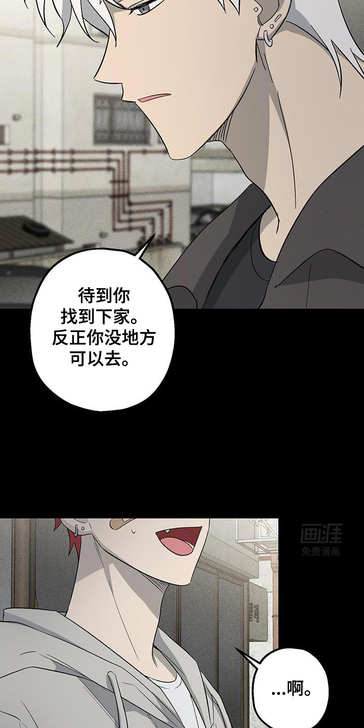 金主计划第27话图