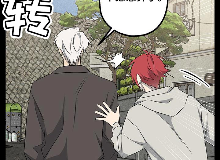 金主计划第27话图