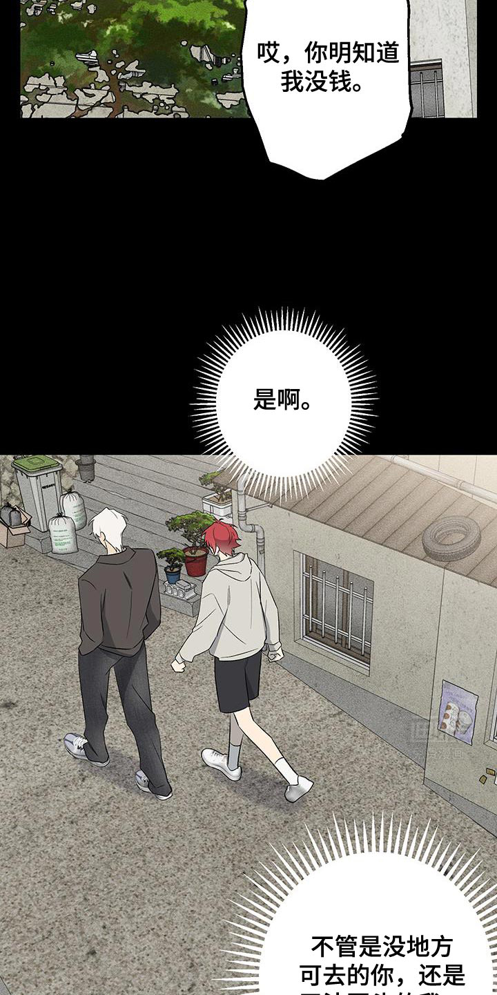 金主计划第27话图