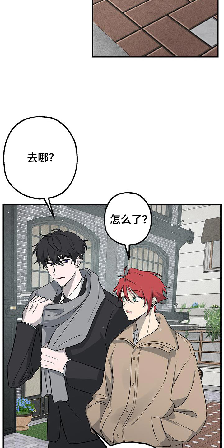 金主计划第35话图