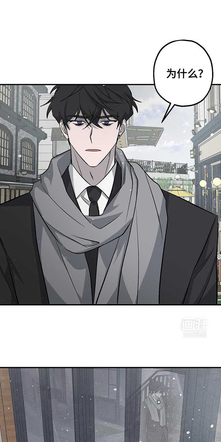 金主计划第35话图