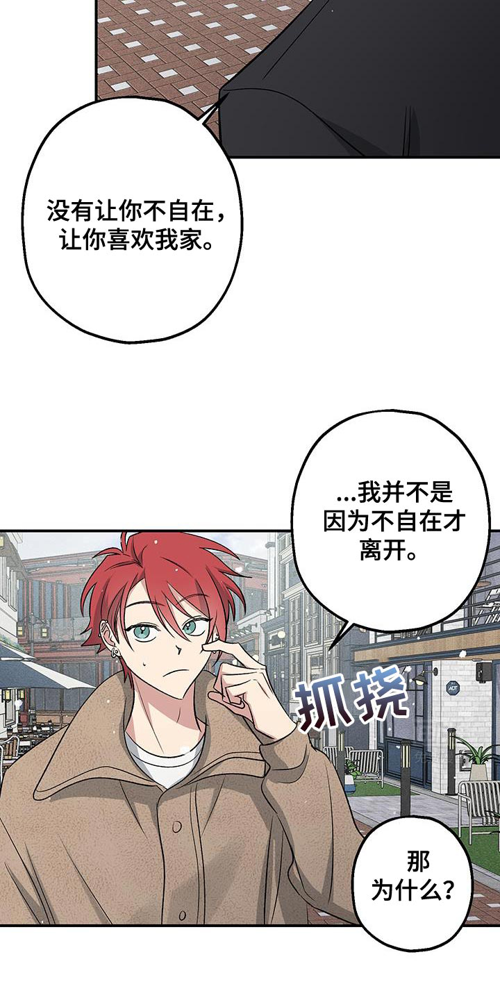 金主计划第35话图