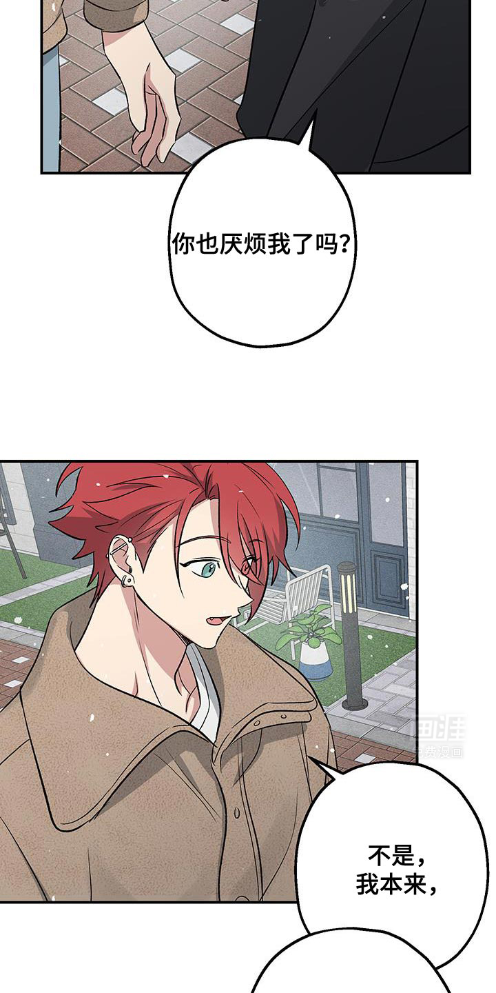 金主计划第35话图