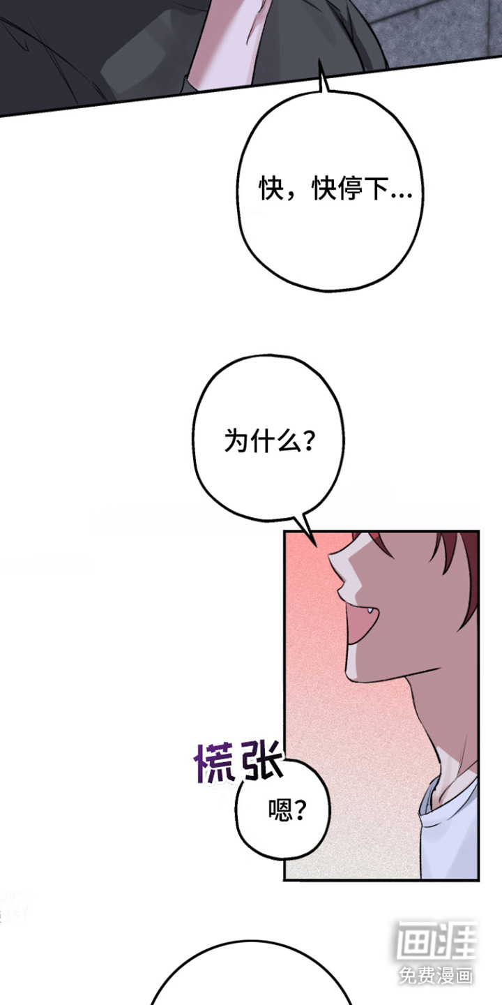 金主计划第5话图