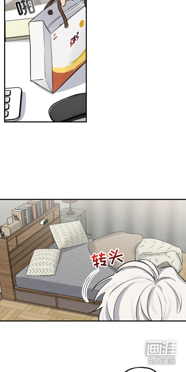 金主计划第6话图