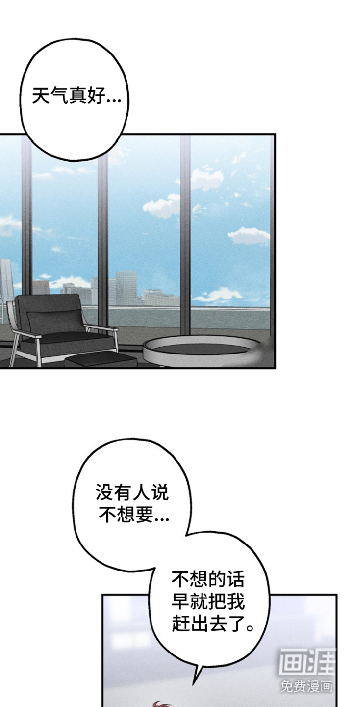 金主计划第9话图