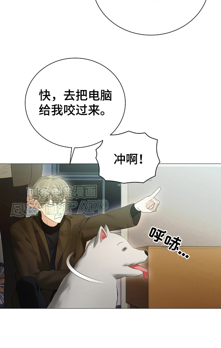 极凶追查第11话图