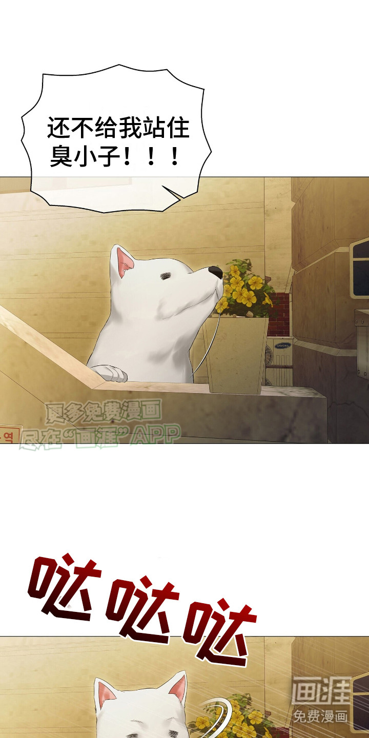 极凶追查 第9话 第0页