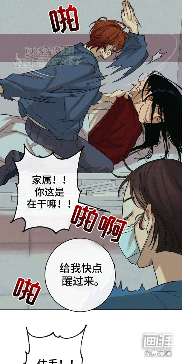 金丹逆咒第13话图