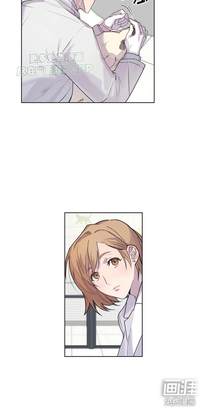 记忆断层第5话图