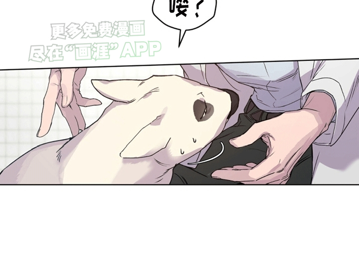 记忆断层第5话图