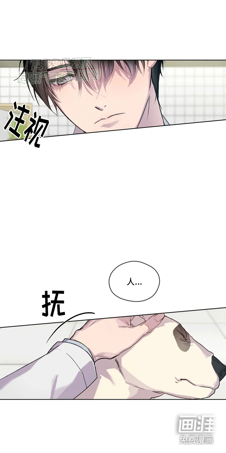 记忆断层第5话图