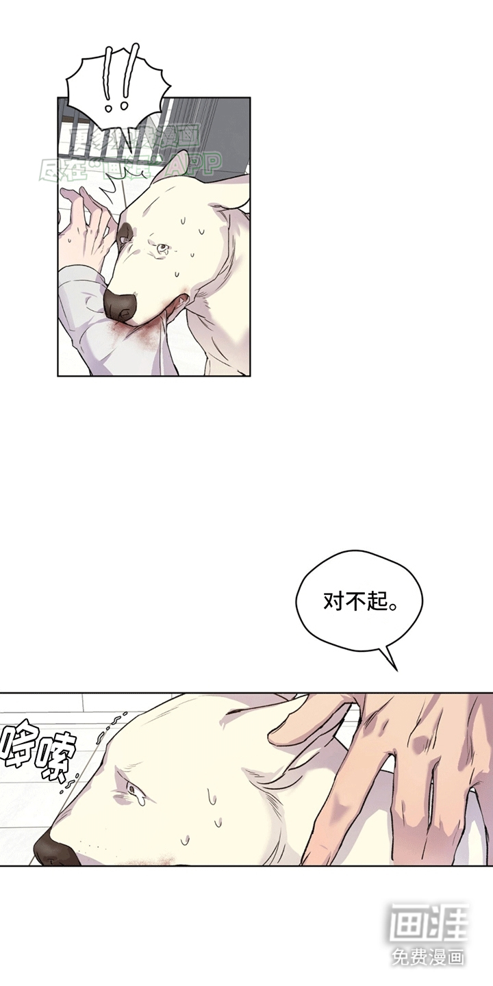 记忆断层第7话图