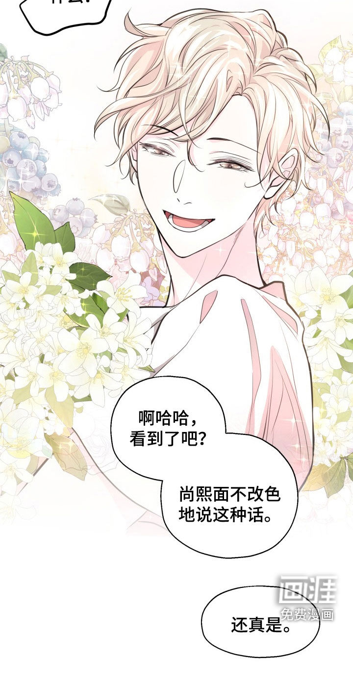 精灵缪斯第19话图