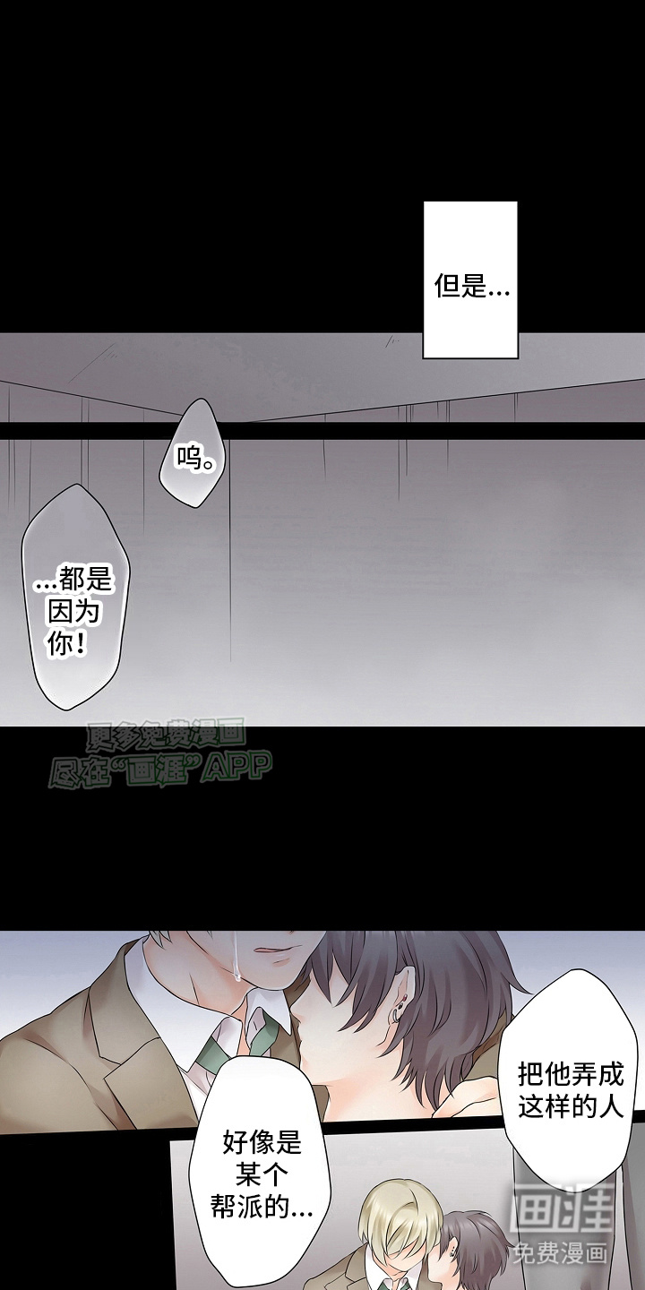 缉毒黑帮第11话图